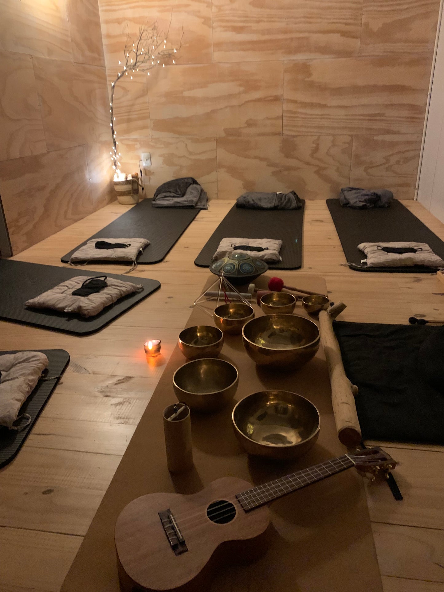 Viaje Vibroacústico - El Pinar 12 de Diciembre