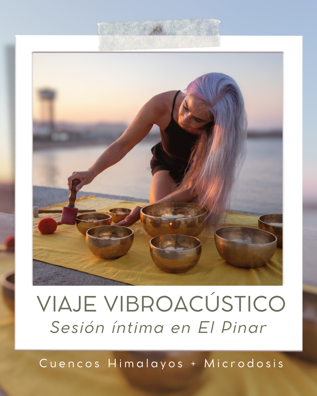 Viaje Vibroacústico - El Pinar 12 de Diciembre