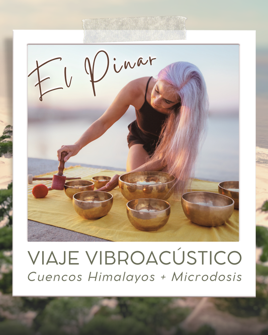 .Viaje Vibroacústico - El Pinar 24 de Abril