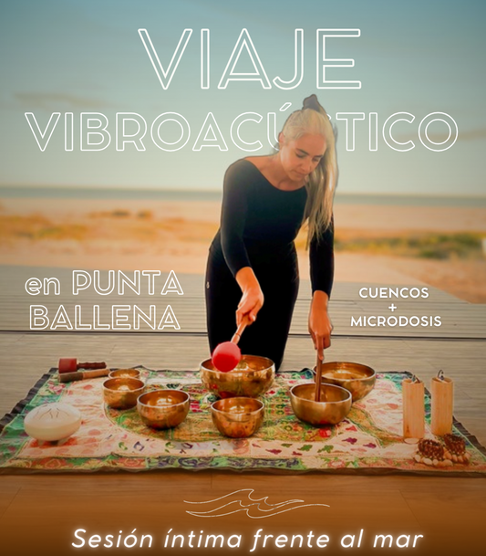 Viaje Vibroacústico - Punta Ballena 28 de noviembre