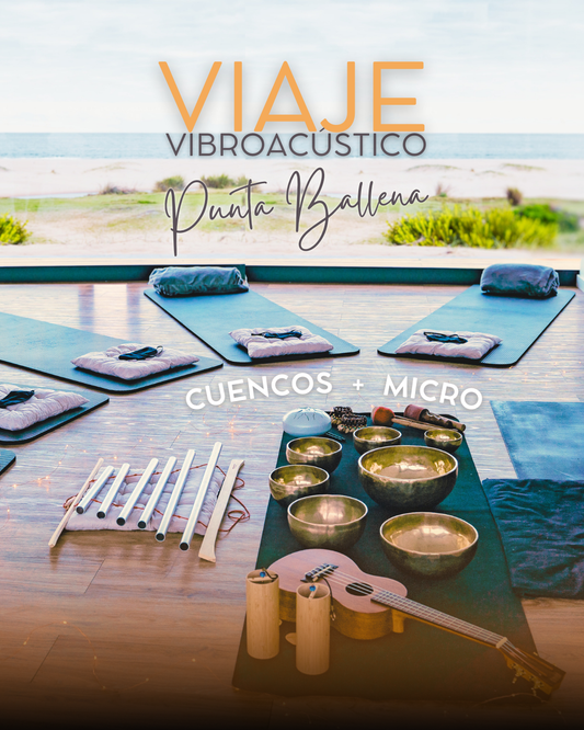 .Viaje Vibroacústico - Punta Ballena  19 de Abril