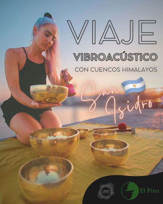 🇦🇷 Viaje Vibroacústico - San Isidro 15 de Marzo